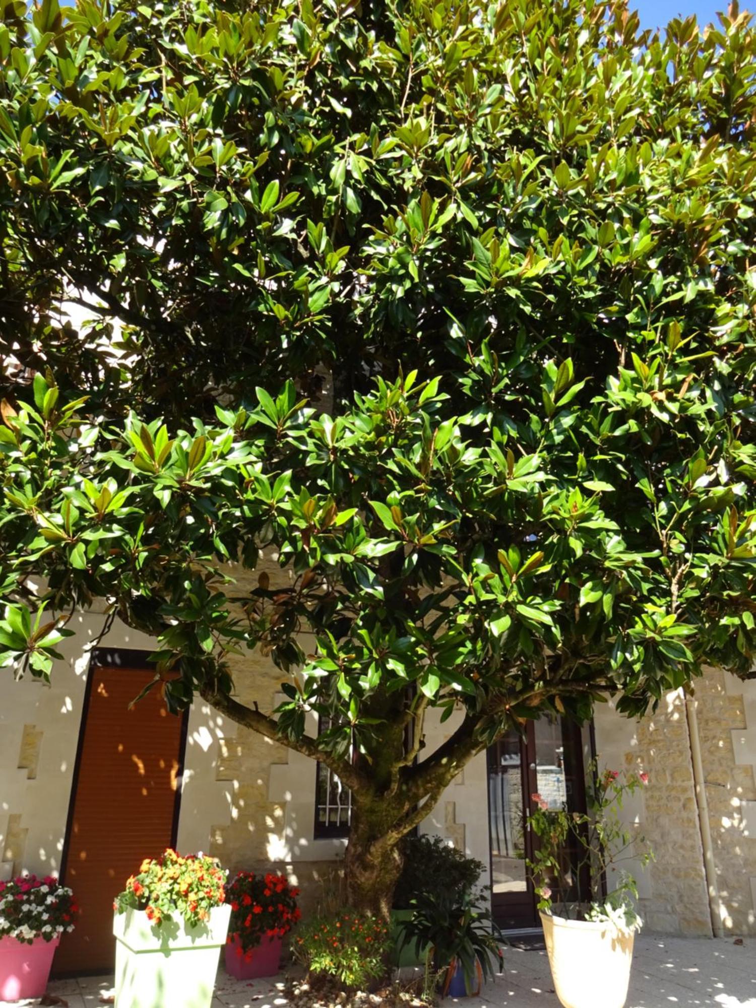 Aux Orangers Hotel Luxe Bagian luar foto