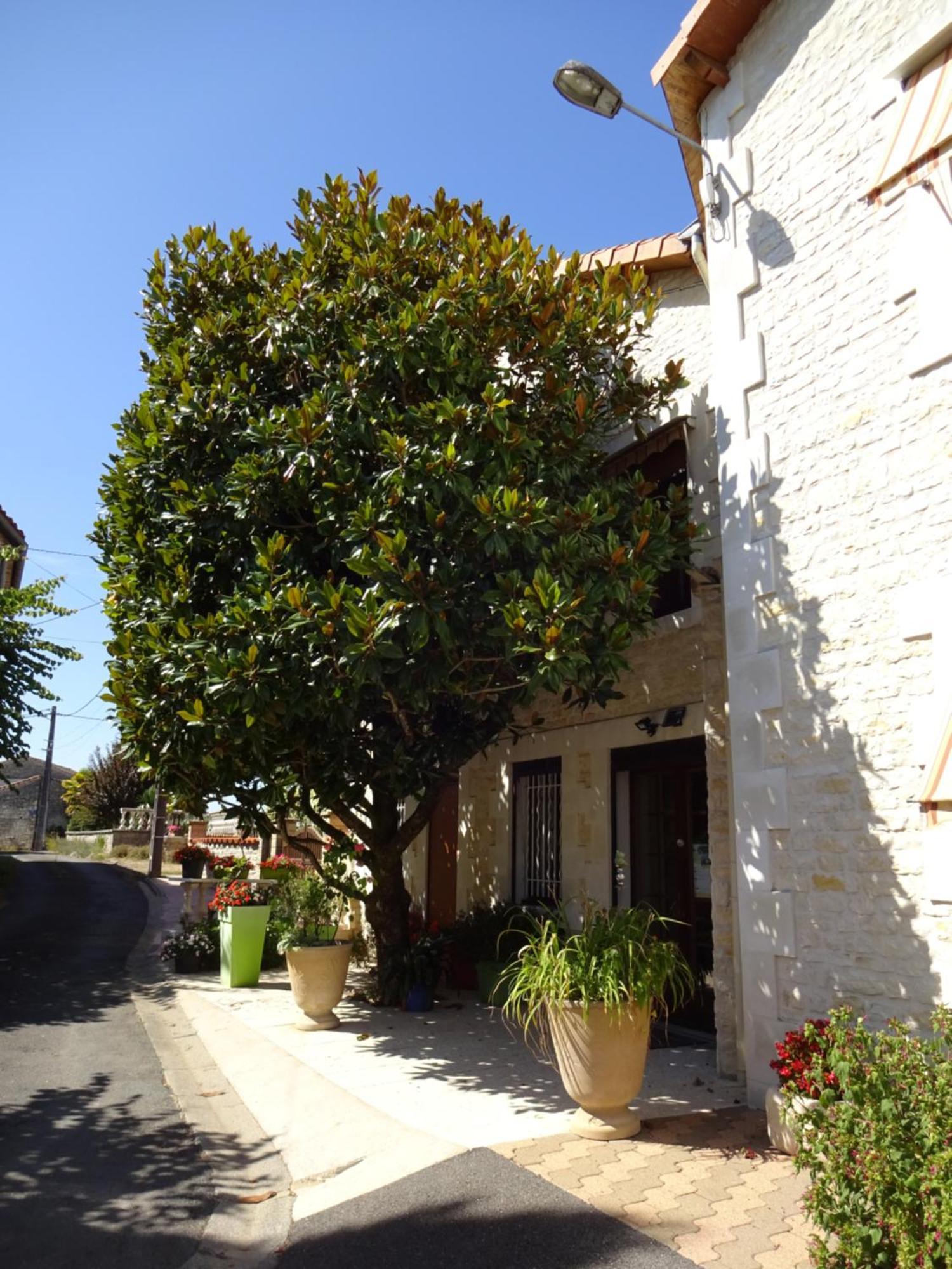 Aux Orangers Hotel Luxe Bagian luar foto